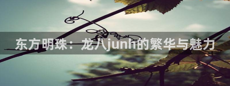 k8凯发游戏：东方明珠：龙八junh的繁华与魅力