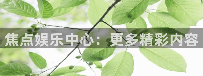 k8凯发游戏试玩：焦点娱乐中心：更多精彩内容
