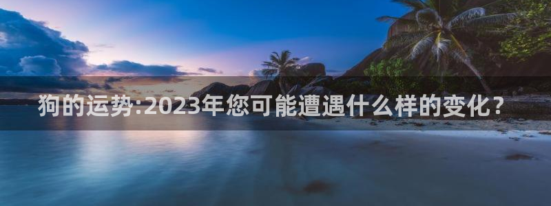 k8凯发.ccmpc登录：狗的运势:2023年您可能遭遇什么样的变化？
