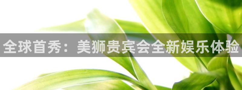 k8凯发下载：全球首秀：美狮贵宾会全新娱乐体验