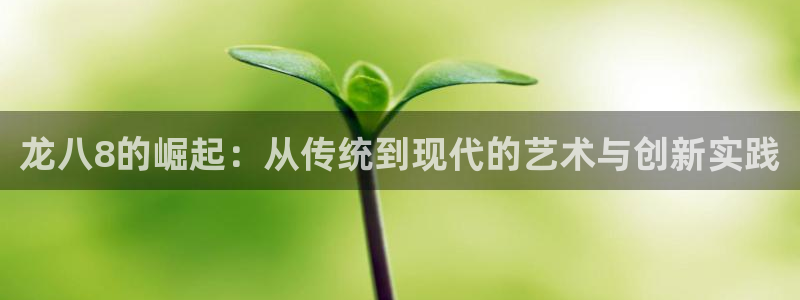 k8凯发app注册地址：龙八8的崛起：从传统到现代的艺术与创新实践