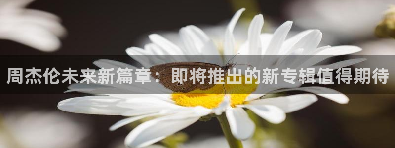 k8凯发注册网页版：周杰伦未来新篇章：即将推出的新专辑值得期待