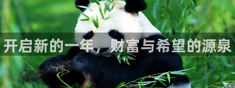k8凯发体育注册：开启新的一年，财富与希望的源泉