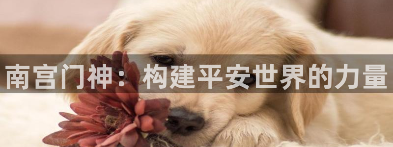 k8凯发下载链接是多少：南宫门神：构建平安世界的力量
