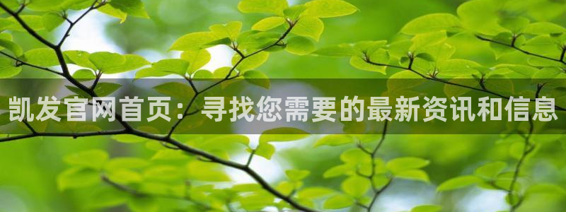 k8凯发游戏有哪些好玩的：凯发官网首页：寻找您需要的最新资讯和信息