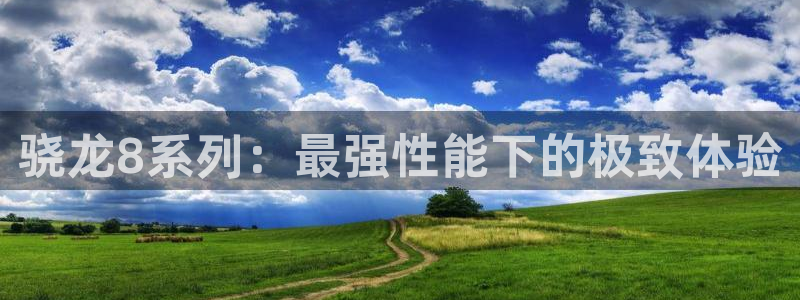 k8凯发平台：骁龙8系列：最强性能下的极致体验