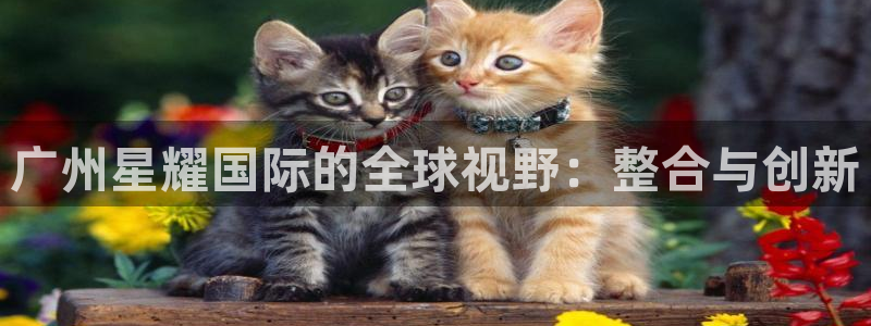 k8凯发3登陆：广州星耀国际的全球视野：整合与创新