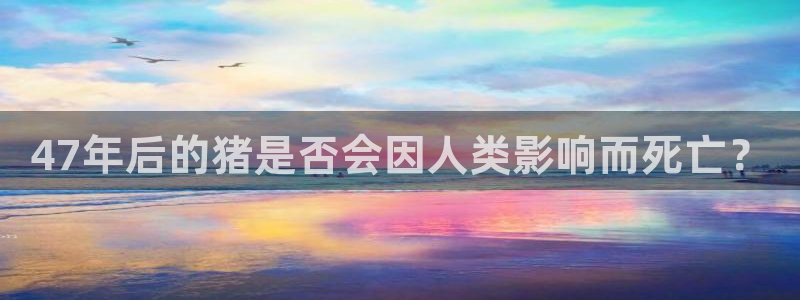 k8凯发官网：47年后的猪是否会因人类影响而死亡？