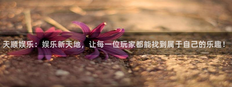 k8凯发体育3在线注册：天顺娱乐：娱乐新天地，让每一位玩家都能找到属于自己的乐趣