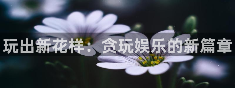k8凯发游戏试玩：玩出新花样：贪玩娱乐的新篇章