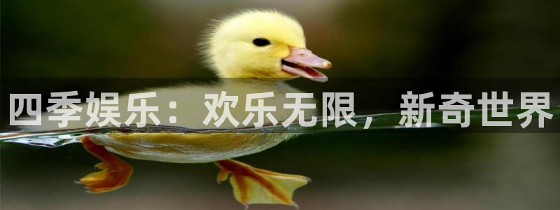 k8凯发体育平台总代理：四季娱乐：欢乐无限，新奇世界