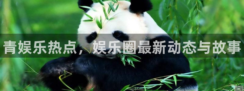 k8凯发主管：青娱乐热点，娱乐圈最新动态与故事