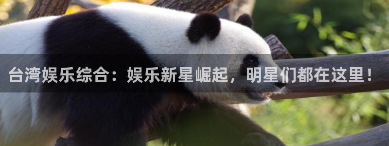 k8凯发平台下载入口：台湾娱乐综合：娱乐新星崛起，明星们都在这里！