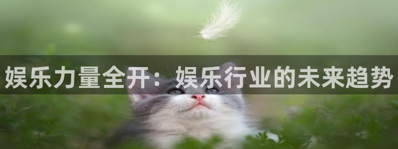 k8凯发.com：娱乐力量全开：娱乐行业的未来趋势