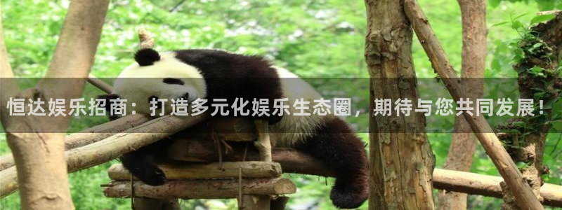 k8凯发4开户：恒达娱乐招商：打造多元化娱乐生态圈，期待与您共同发展！