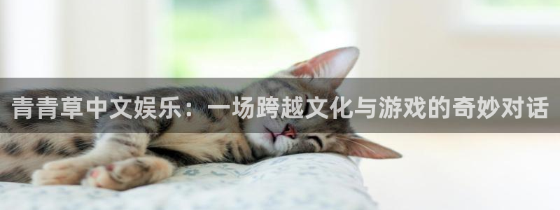 k8凯发体育平台开号链接：青青草中文娱乐：一场跨越文化与游戏的奇妙对话