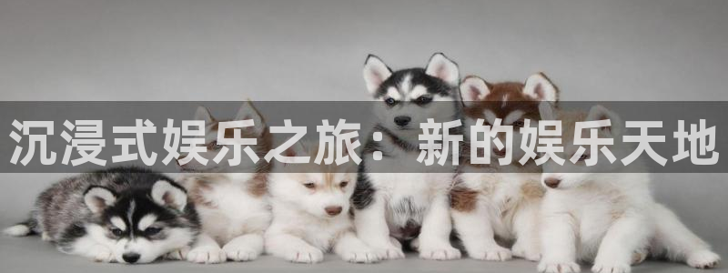 k8凯发平台注册：沉浸式娱乐之旅：新的娱乐天地