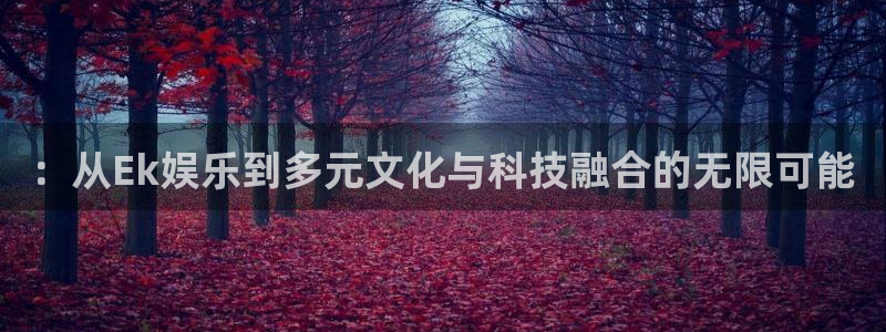 k8凯发app最新版：：从Ek娱乐到多元文化与科技融合的无限可能