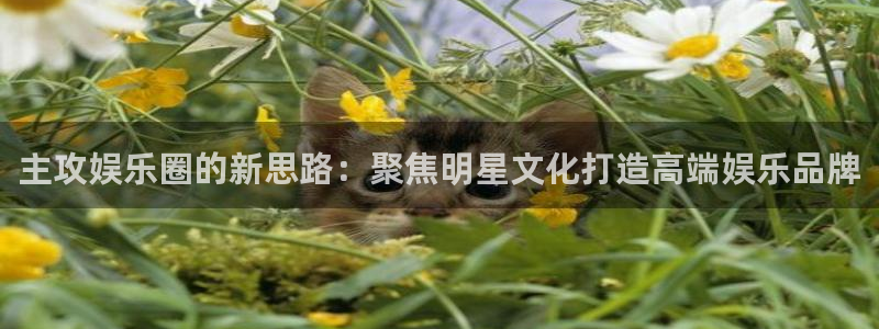 k8凯发app 是什么：主攻娱乐圈的新思路：聚焦明星文化打造高端娱乐品牌