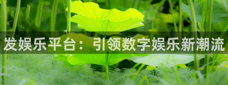k8凯发凯捷开号链接：发娱乐平台：引领数字娱乐新潮流