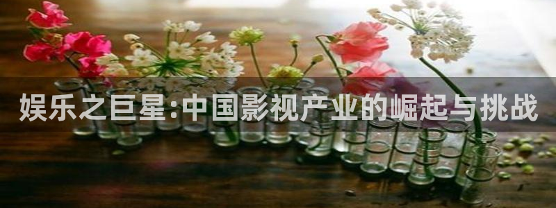 佛山市南海k8凯发机电仪器有限公司：娱乐之巨星:中国影视产业的崛起与挑战