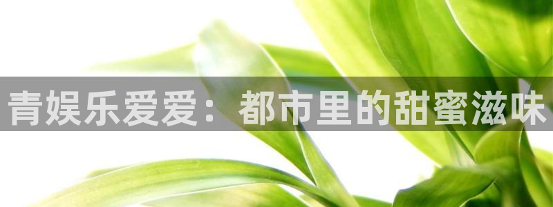 k8凯发体育代理申请流程：青娱乐爱爱：都市里的甜蜜滋味