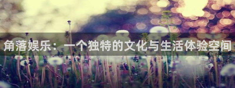 k8凯发官网入口：角落娱乐：一个独特的文化与生活体验空间