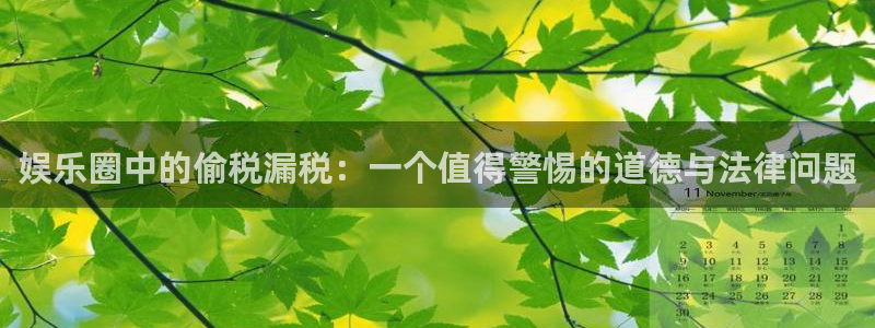 k8凯发娱乐：娱乐圈中的偷税漏税：一个值得警惕的道德与法律问题