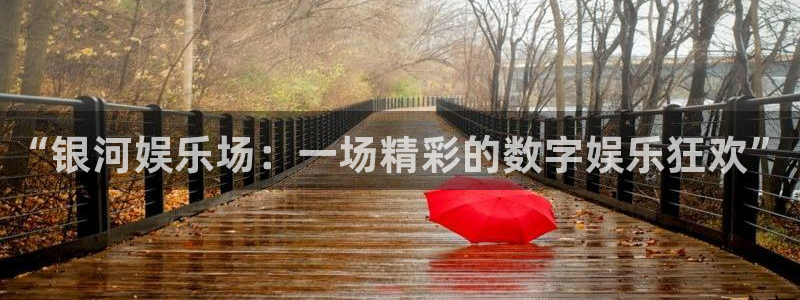 k8凯发3平台注册：“银河娱乐场：一场精彩的数字娱乐狂欢”