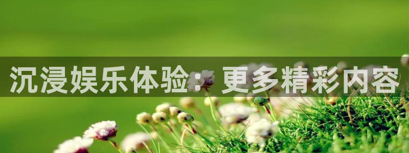 k8凯发体育2：沉浸娱乐体验：更多精彩内容