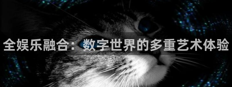 k8凯发体育官网登录：全娱乐融合：数字世界的多重艺术体验