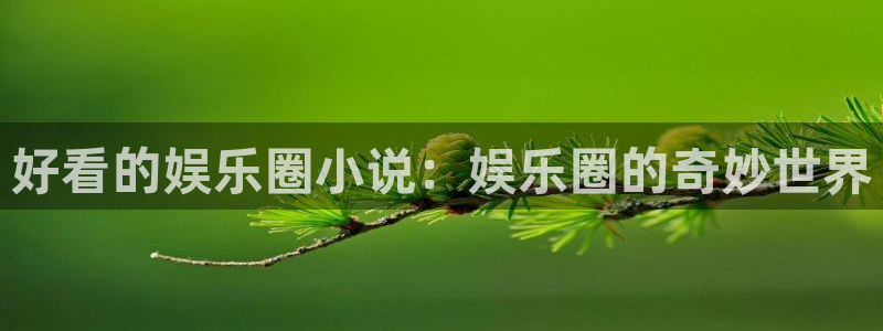k8凯发账号注册入口：好看的娱乐圈小说：娱乐圈的奇妙世界