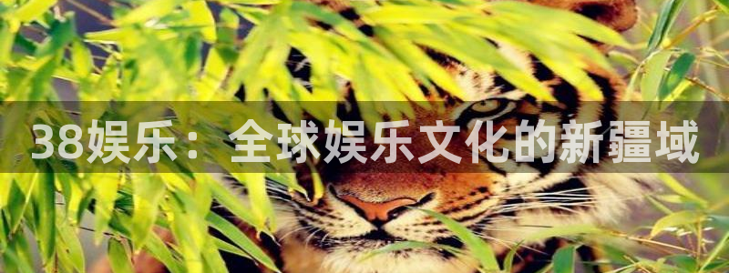 k8凯发体育凯捷平台代理：38娱乐：全球娱乐文化的新疆域