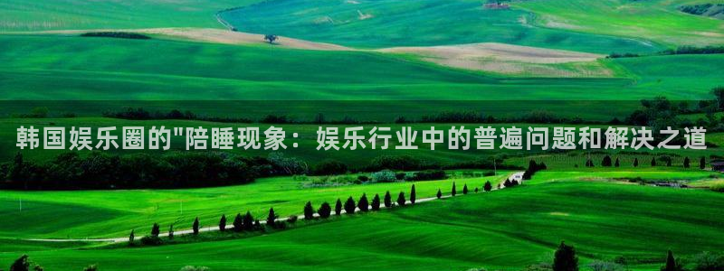 k8凯发包怎么样：韩国娱乐圈的\