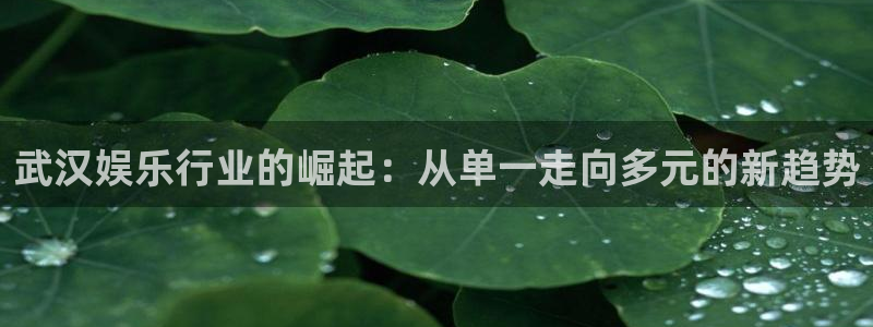 k8凯发4平台：武汉娱乐行业的崛起：从单一走向多元的新趋势