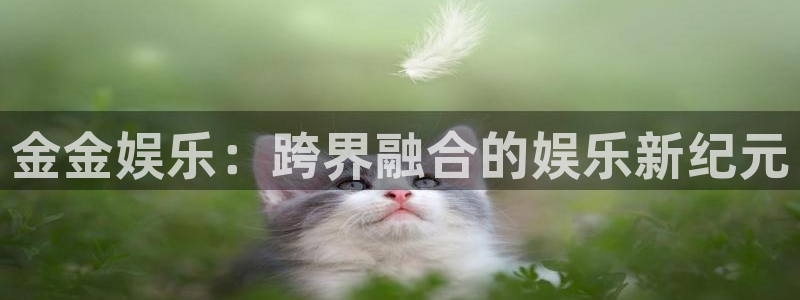 k8凯发凯捷开号链接：金金娱乐：跨界融合的娱乐新纪元