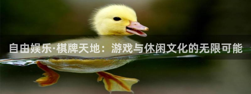 k8凯发ccm赏金女王：自由娱乐·棋牌天地：游戏与休闲文化的无限可能