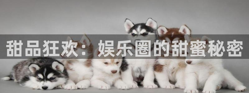 k8凯发注册平台：甜品狂欢：娱乐圈的甜蜜秘密
