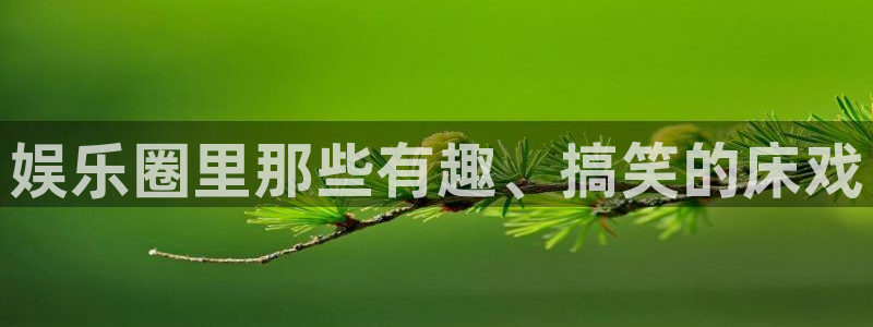 k8凯发体育官网：娱乐圈里那些有趣、搞笑的床戏