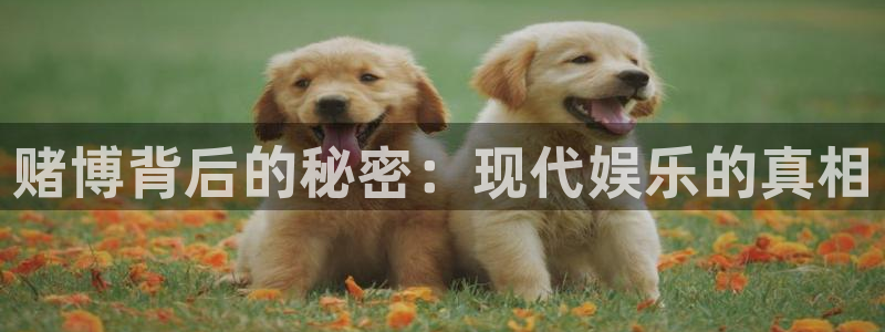 k8凯发体育在线注册：赌博背后的秘密：现代娱乐的真相