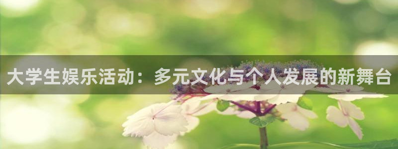 k8凯发集团股票：大学生娱乐活动：多元文化与个人发展的新舞台
