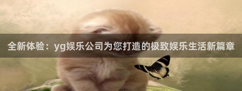 k8凯发2官网