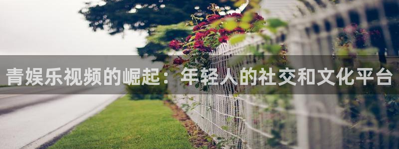 k8凯发分红代理计划：青娱乐视频的崛起：年轻人的社交和文化平台